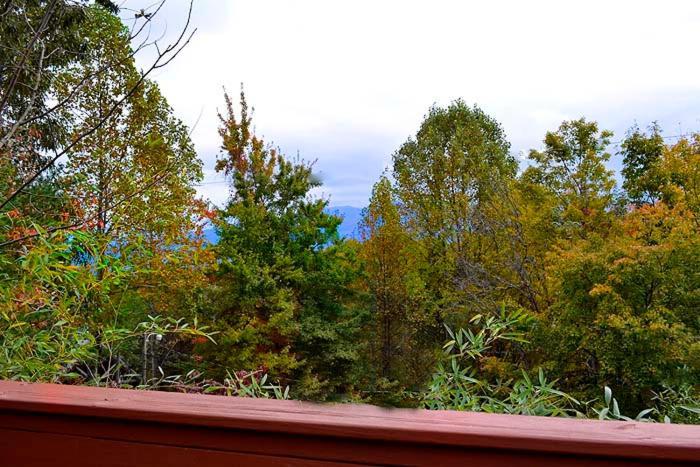 Lover'S Loft Gatlinburg Exterior photo